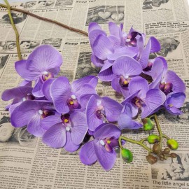 گل ارکیده لمسی سه بعدی