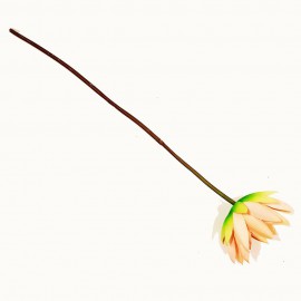 گل مرداب شاخه ای لمسی