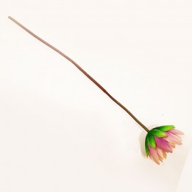گل مرداب شاخه ای لمسی